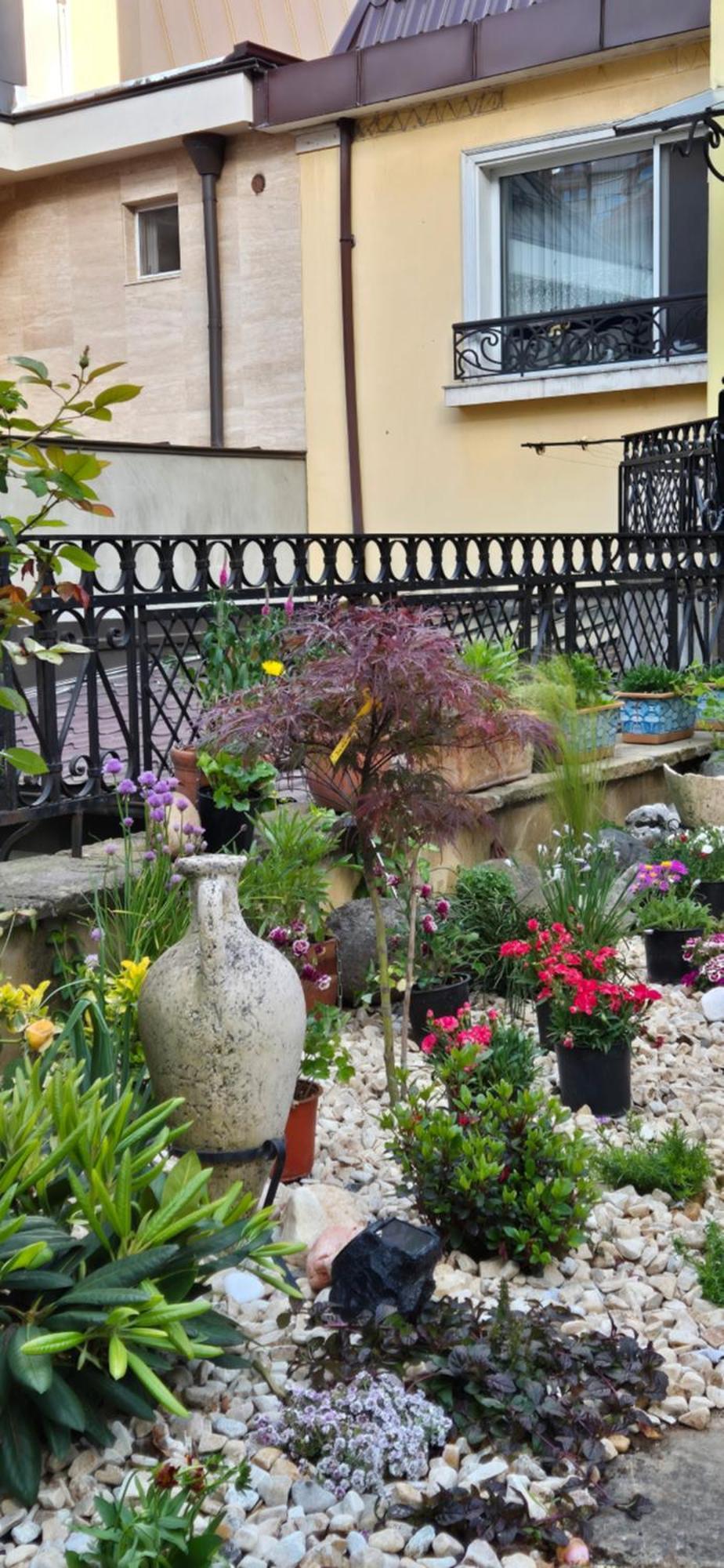וליקו טורנובו Luxury Private House In City Center חדר תמונה